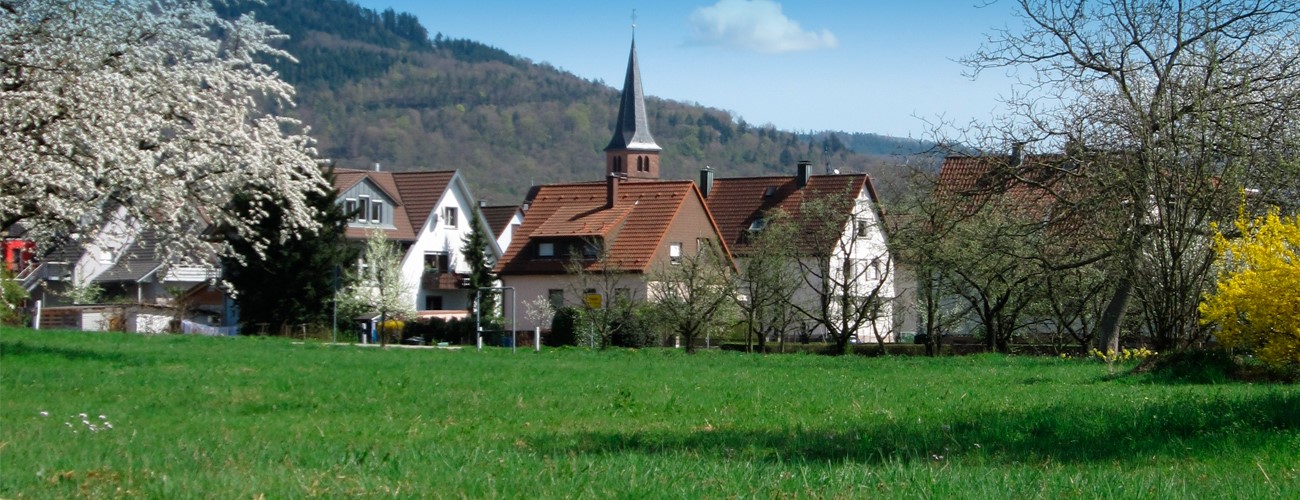 Wiese mit Bäumen und Häuser mit Kirchturm Bischweier
