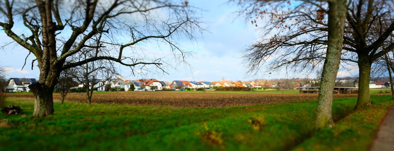 Bagger vor Erdhügel